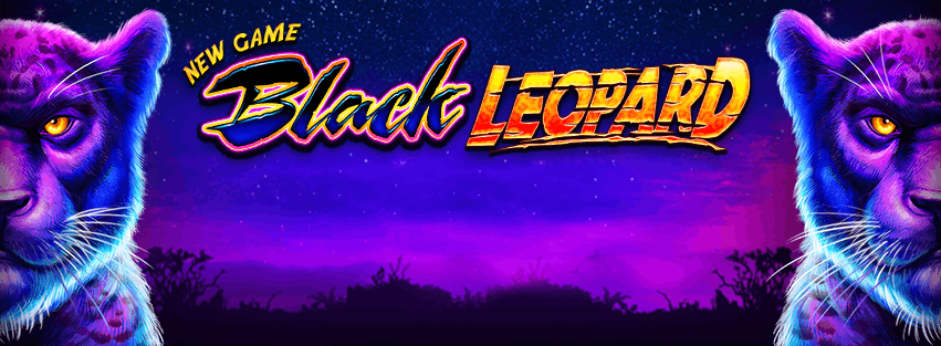 Black Leopard Slot