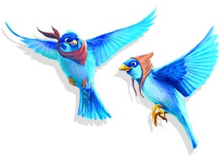 birds